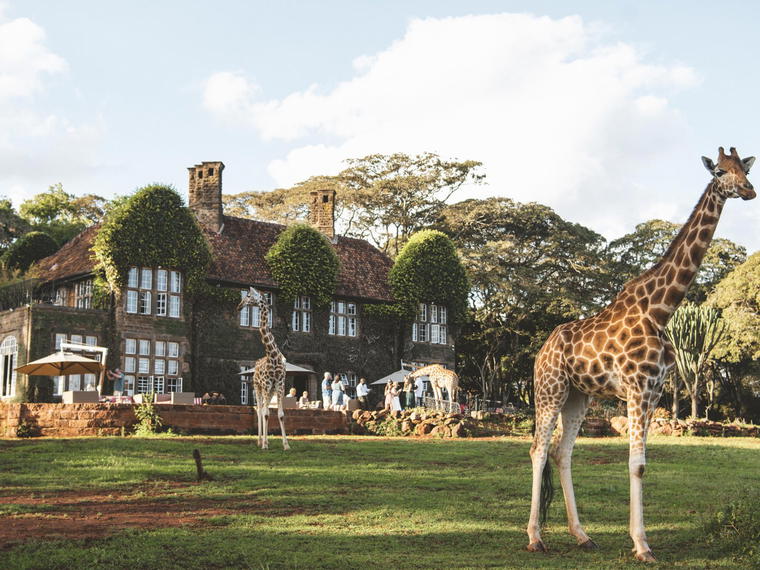 Giraffe Manor, Nairobi, Kenya