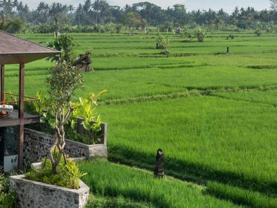 Gdas Bali Health and Wellness Resort, Ubud, Indonesia