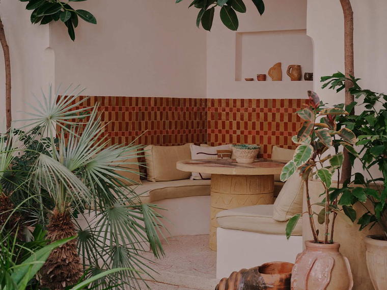 Rosemary, Marrakech, Morocco