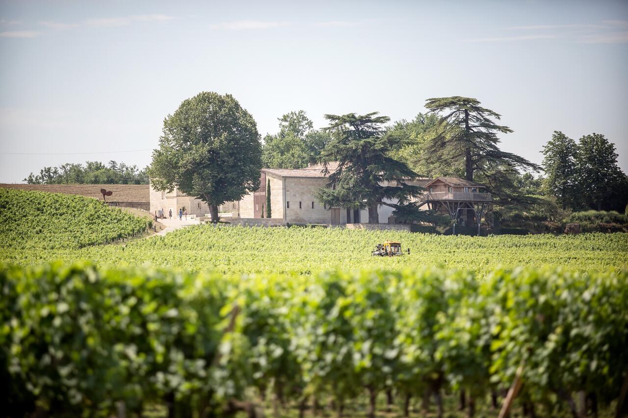Le Relais de Franc Mayne