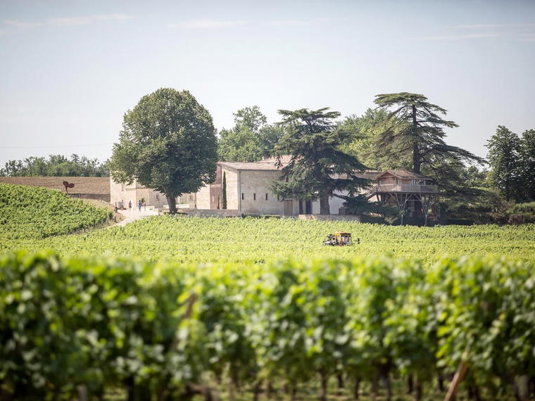 Le Relais de Franc Mayne, Saint-Émilion, France