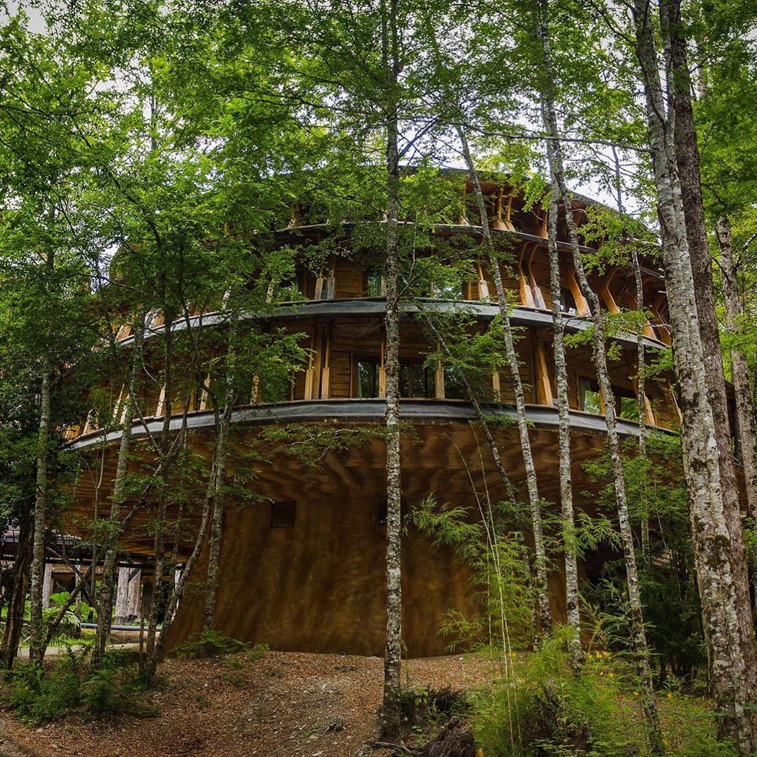 Huilo Huilo Reino Fungi Lodge, Los Lagos, Chile