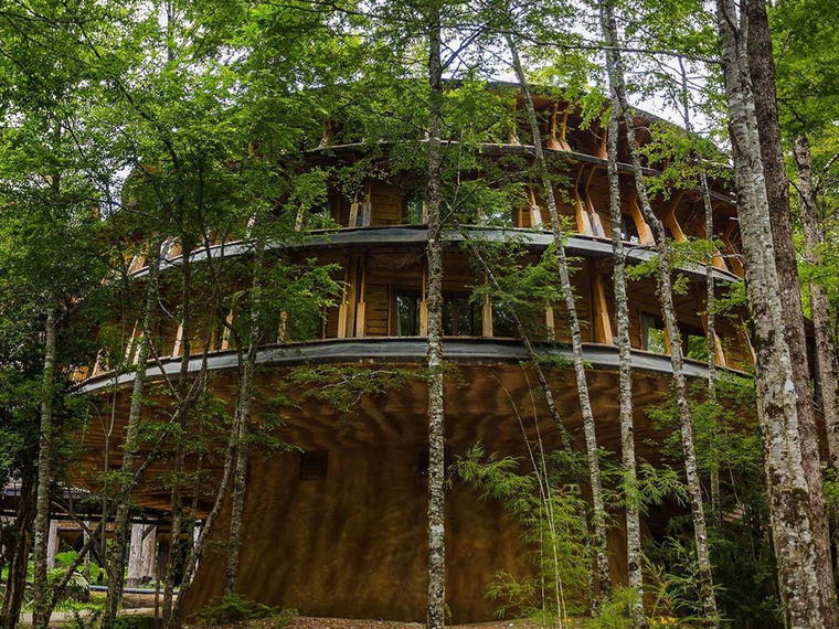 Huilo Huilo Reino Fungi Lodge, Los Lagos, Chile