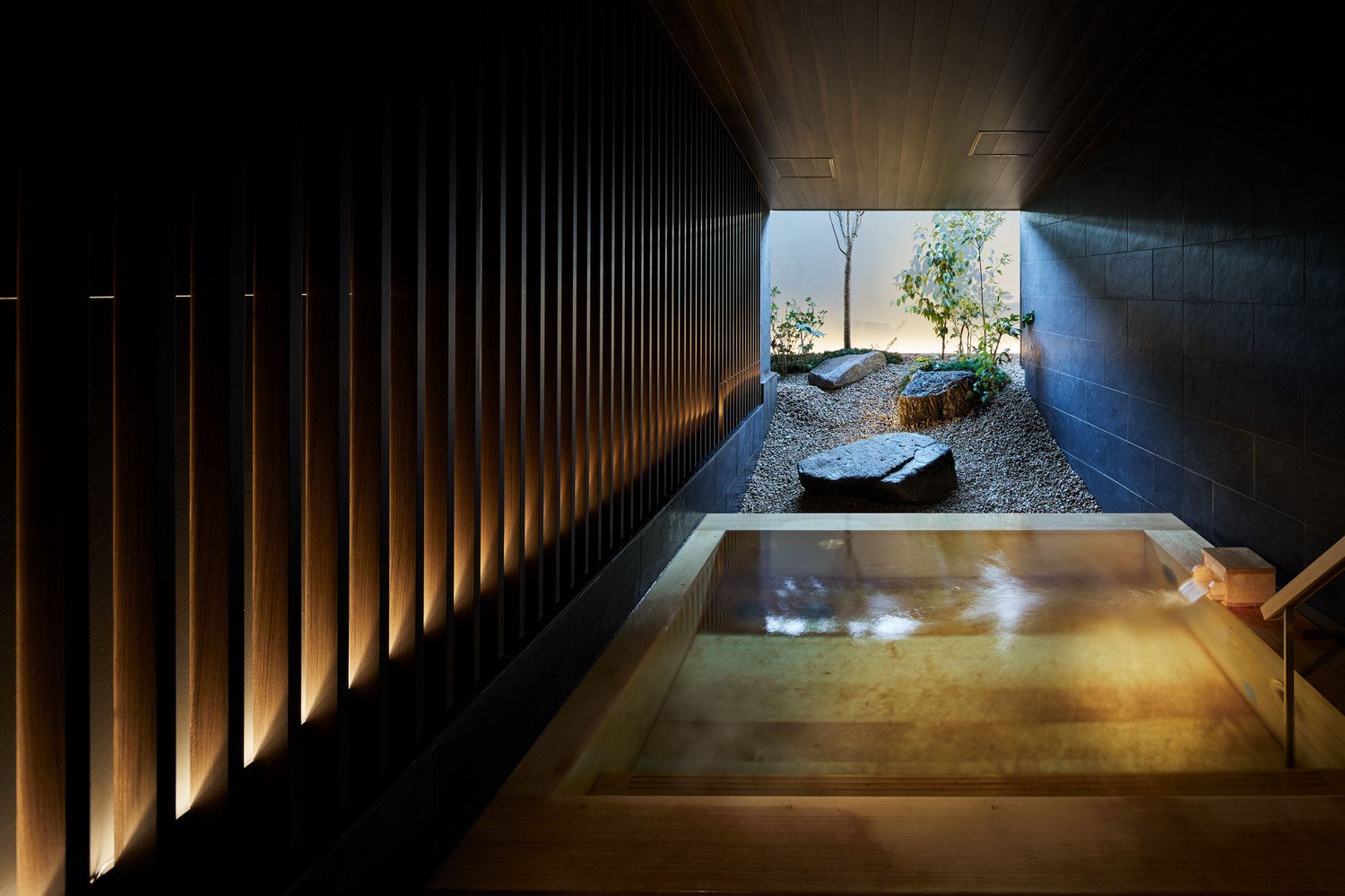 Onsen Ryokan Yuen Bettei Daita, Hotel in Tokyo