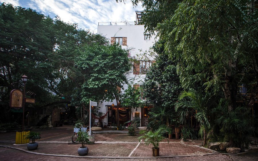 Hotel La Semilla hotel in Playa del Carmen, Mexico