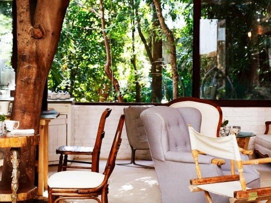 Hotel La Semilla, Playa del Carmen, Mexico
