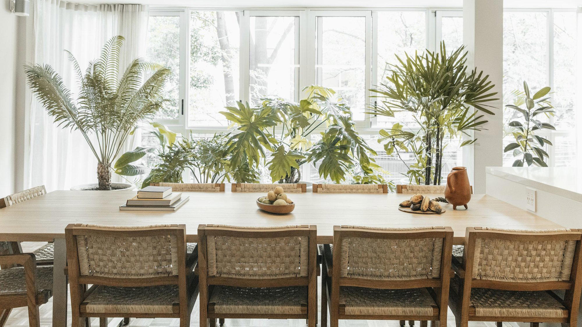 CASA TEO, Mexico City, Mexico