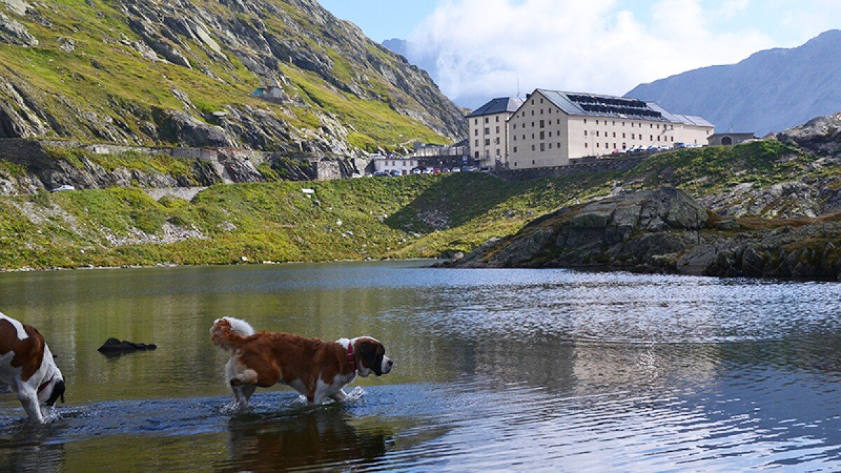 Great St Bernard Hospice, Bourg St Pierre, Switzerland