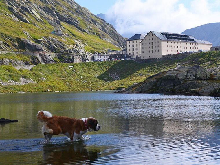 Great St Bernard Hospice, Bourg St Pierre, Switzerland