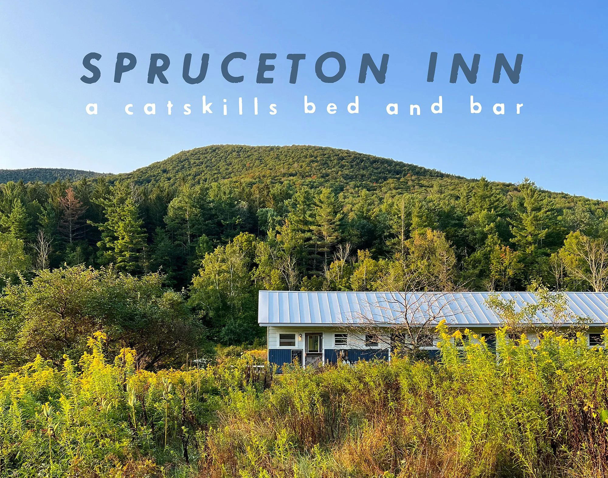 Spruceton Inn, Hotel in Lexington