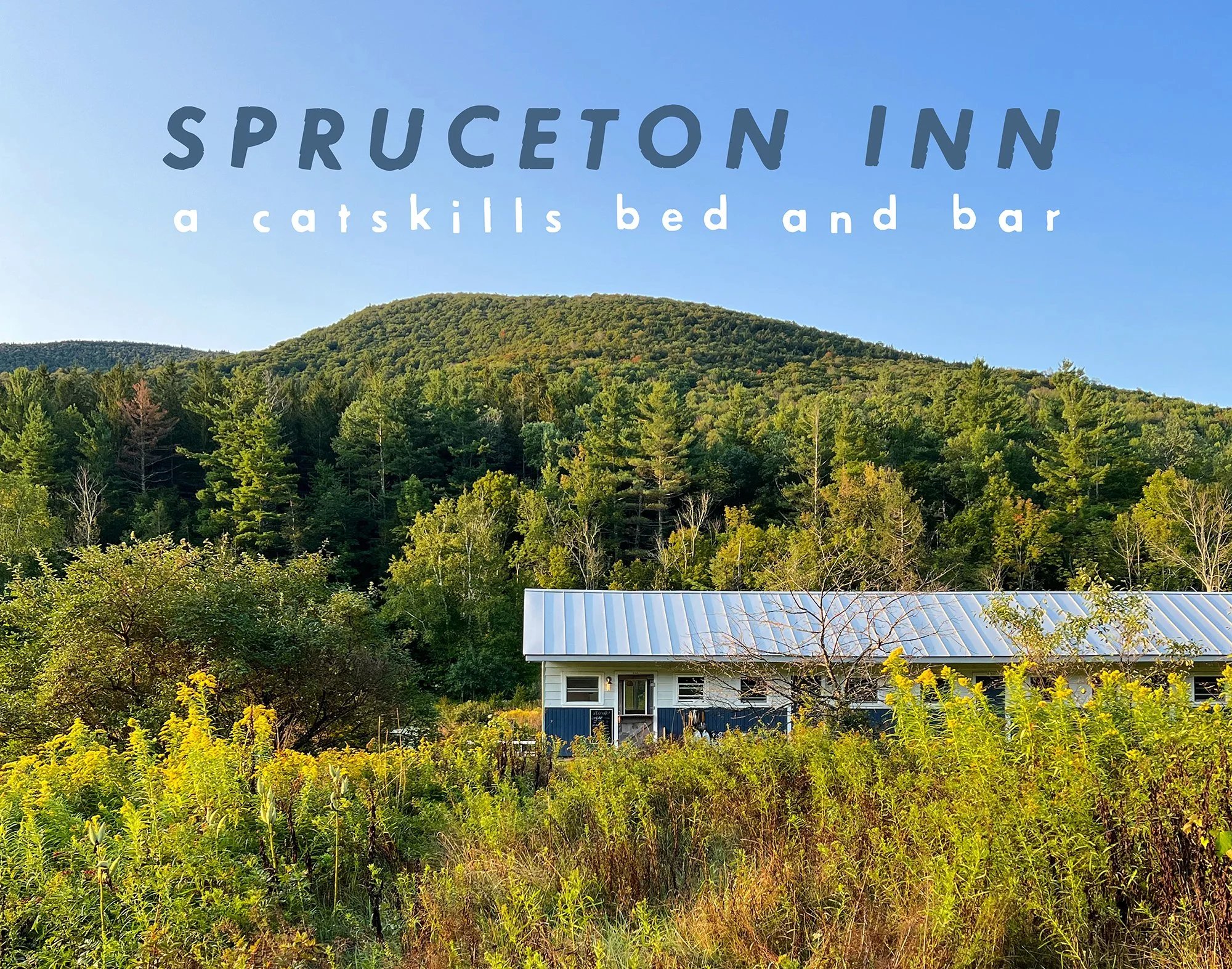 Spruceton Inn hotel in Lexington, United States