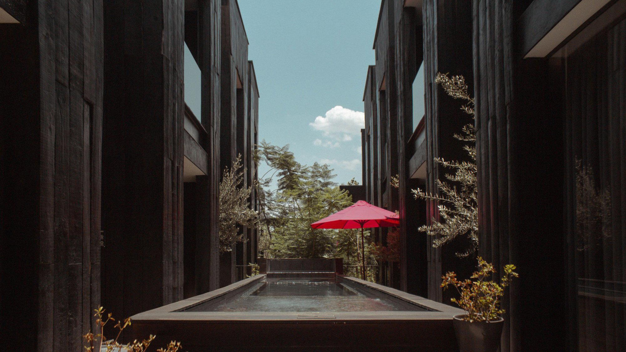 Elena de Cobre, León, Mexico