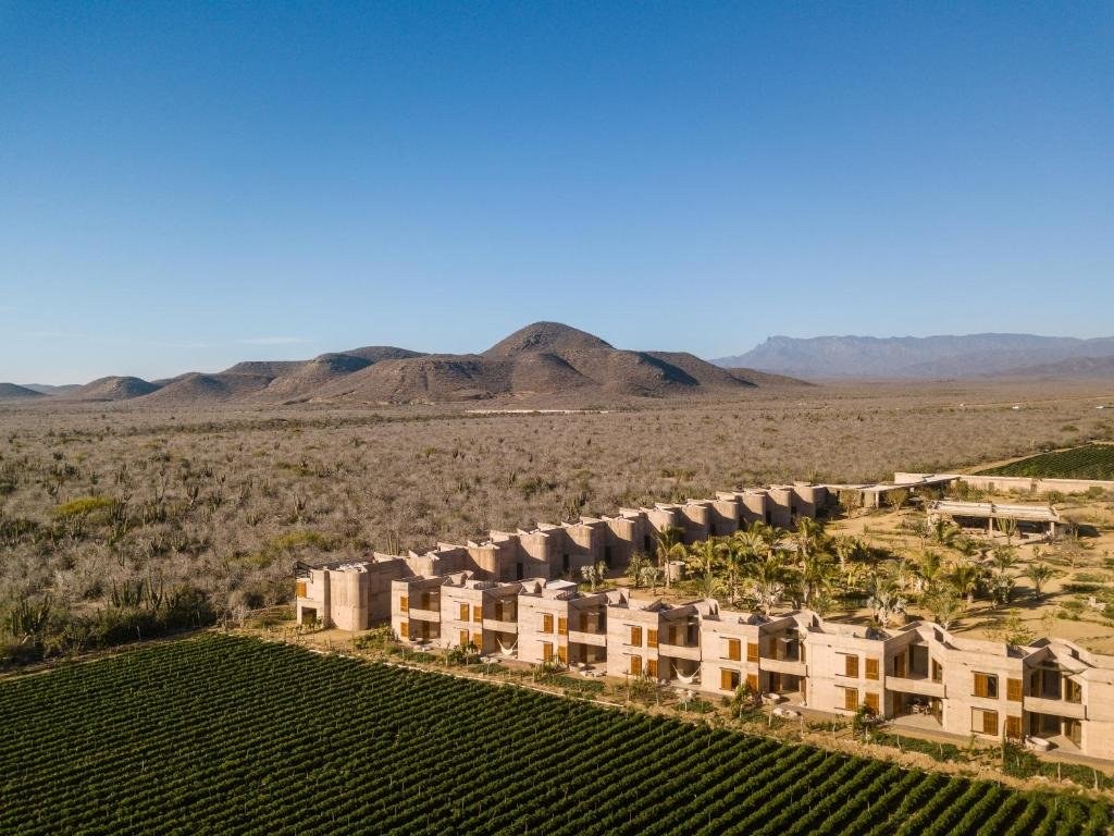 Paradero Todos Santos – Exclusive Experiences