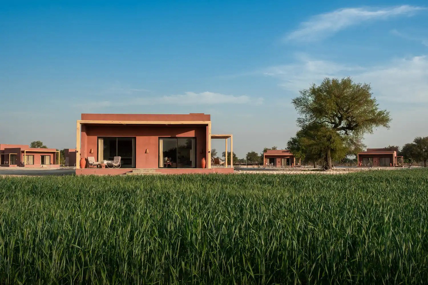 Mharo Khet, Jodhpur, India
