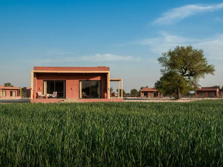Mharo Khet, Jodhpur, India