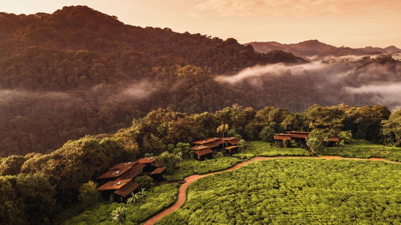 One\u0026Only Nyungwe House hotel in Nyungwe, Rwanda