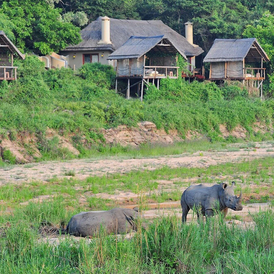 Jock Safari Lodge, Hotel in Marloth Park