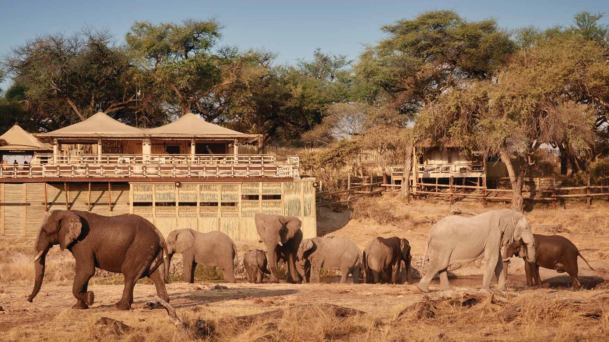 Savute Elephant Lodge, A Belmond Safari, Botswana
