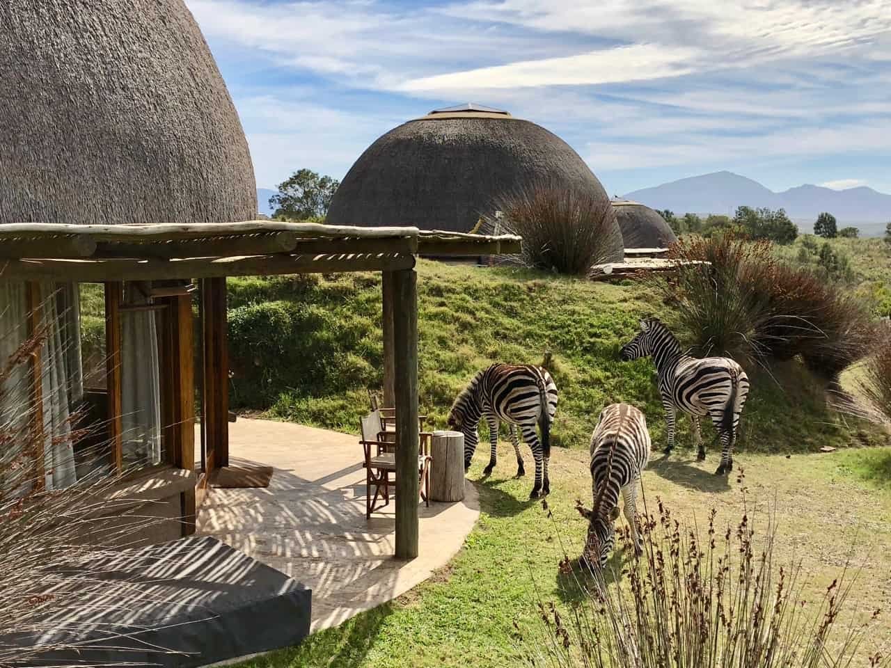 Gondwana Private Game Reserve hotel in Herbertsdale, South Africa