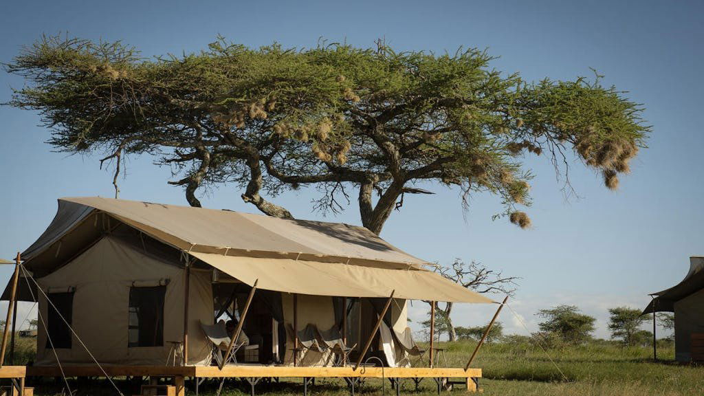 Siringit Serengeti Camp hotel in Seronera, Tanzania