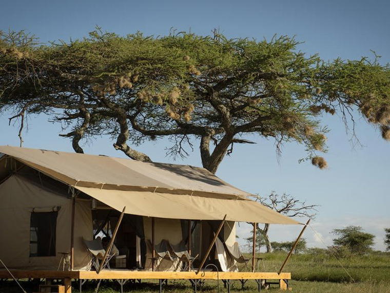 Siringit Serengeti Camp, Seronera, Tanzania