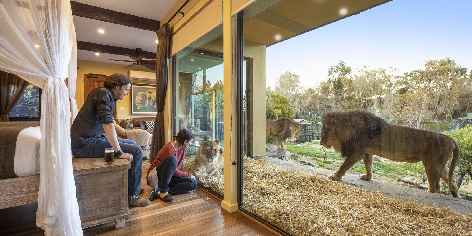 Jamala Wildlife Lodge hotel in Canberra, Australia