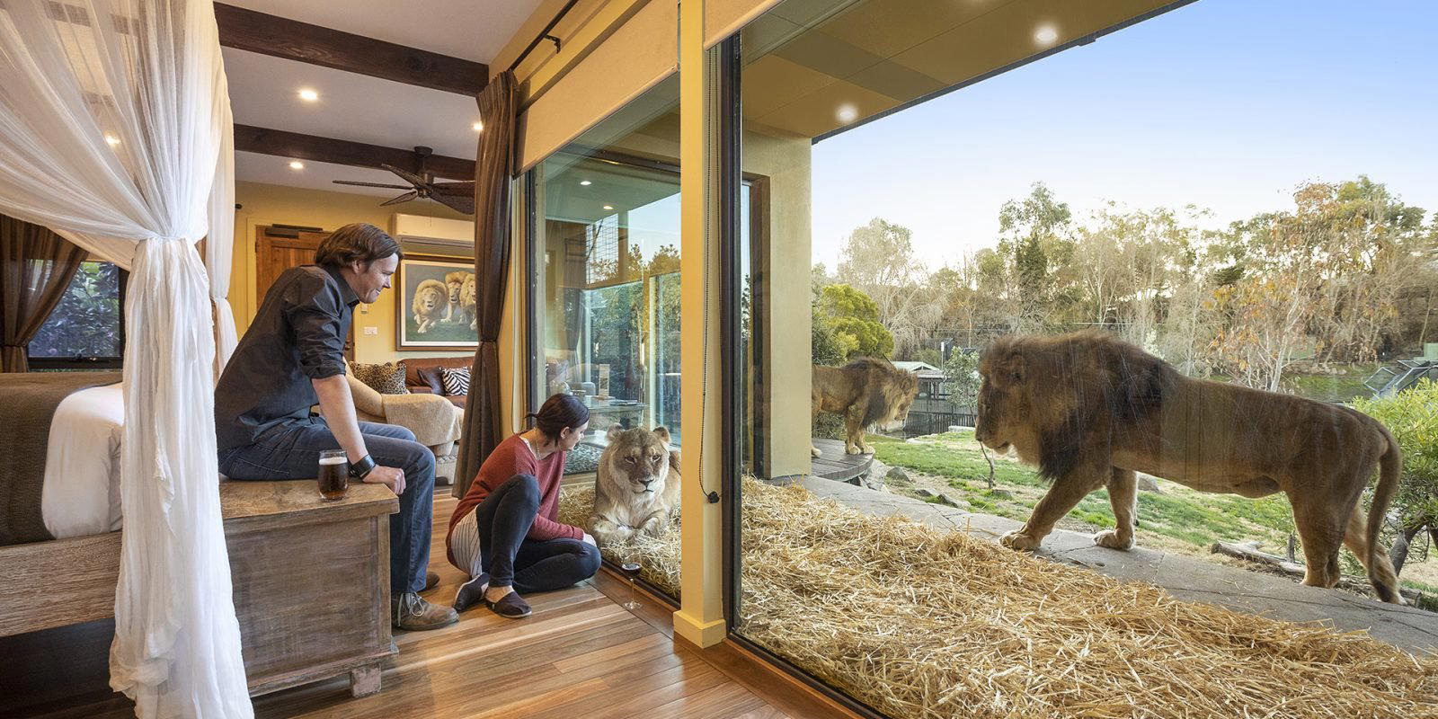 Jamala Wildlife Lodge, Canberra, Australia