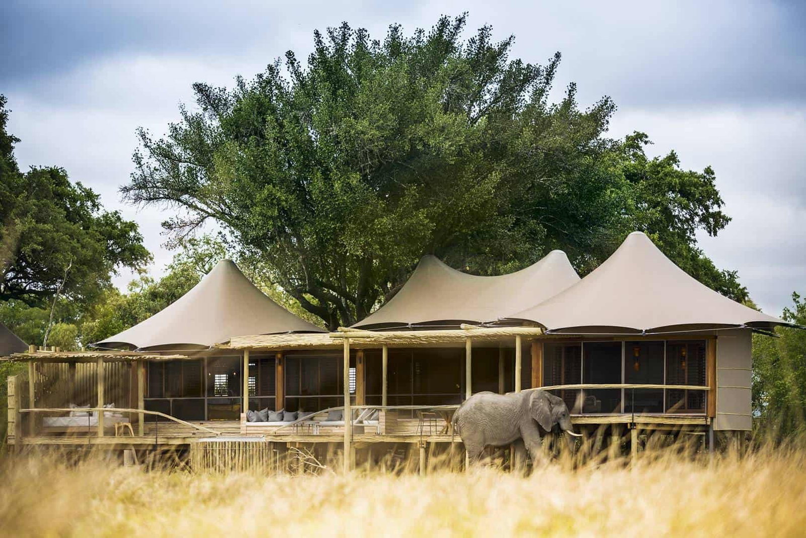 Little Mombo Camp, Okavango Delta, Botswana