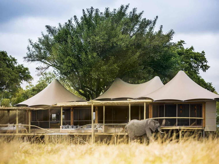 Little Mombo Camp, Okavango Delta, Botswana