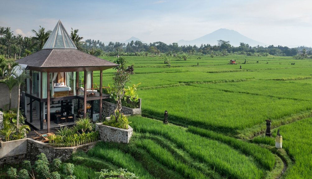 Gdas Bali Health and Wellness Resort hotel in Ubud, Indonesia