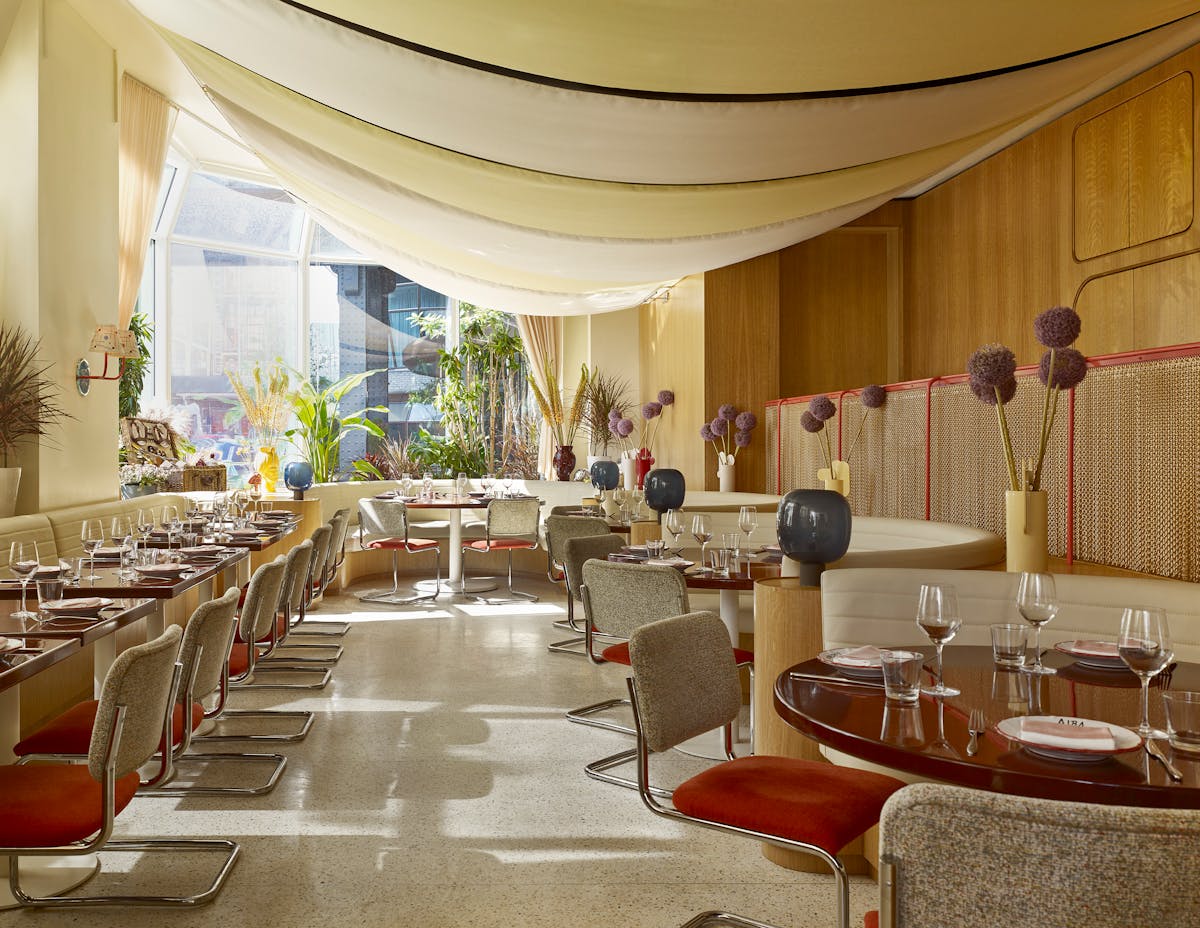 Cucina Alba, Restaurant in New York City