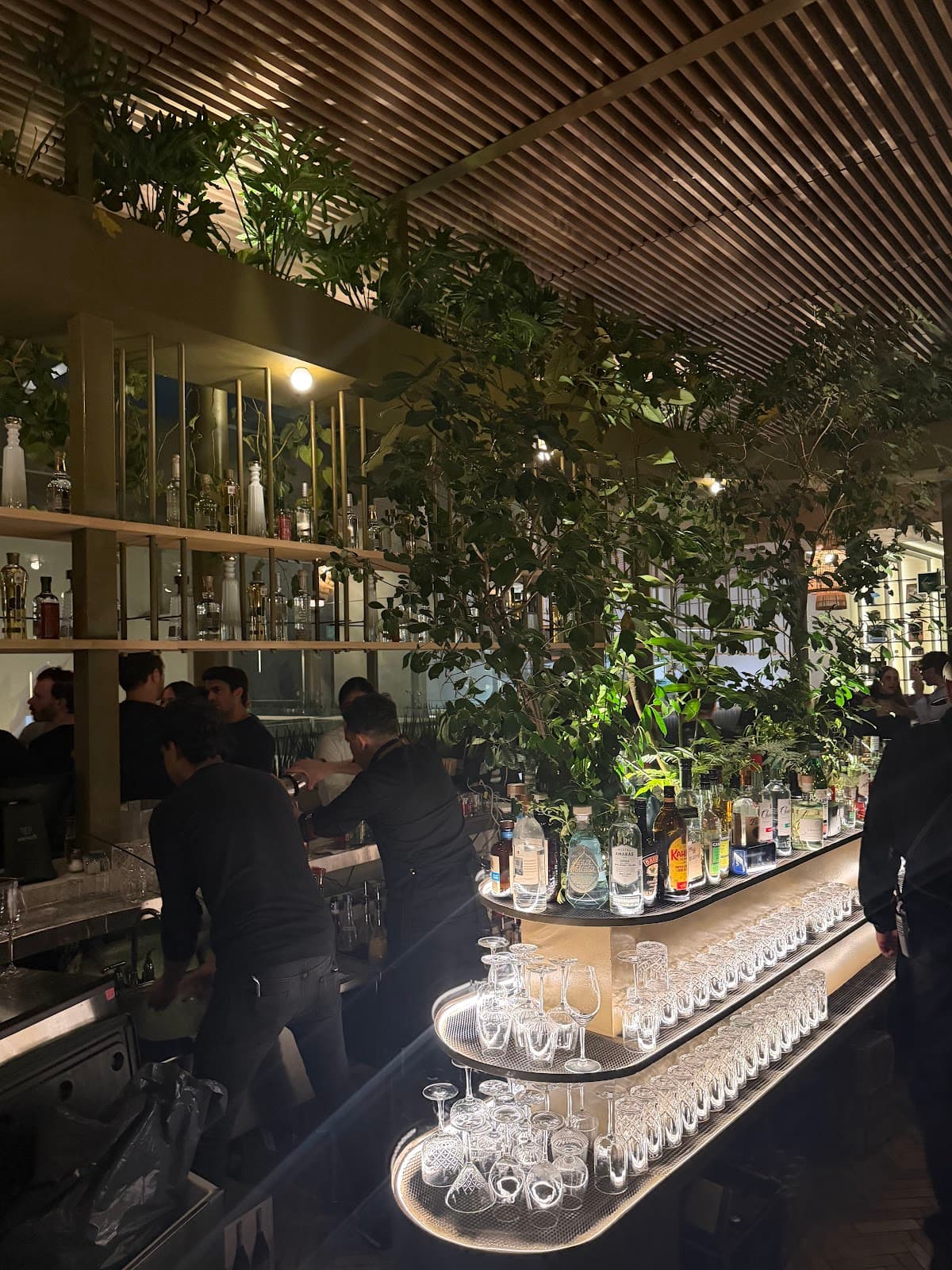 Somma Rooftop, Restaurant in Mexico City