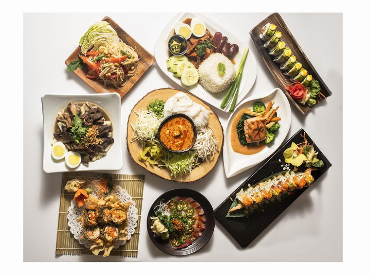Srithai: Thai Kitchen & Sushi Bar (Emory), Druid Hills, United States