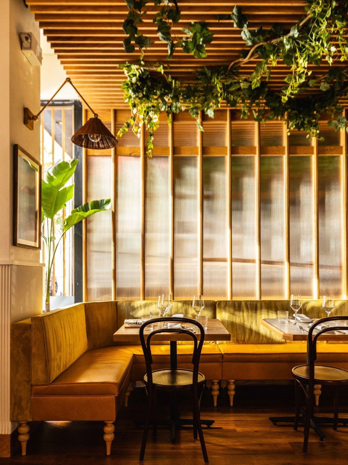 Leonetta, Restaurant in New York City