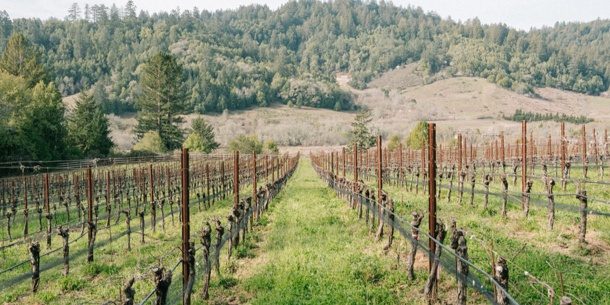 RAEN Winery winery in Sonoma