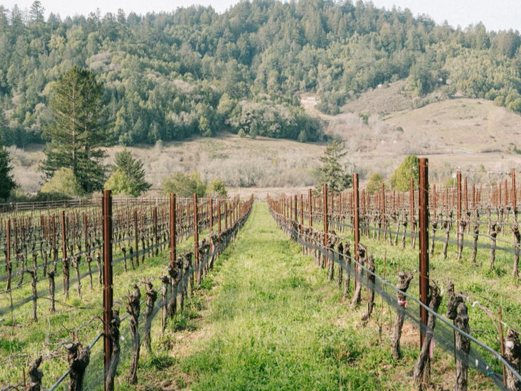 RAEN Winery, Sonoma, United States