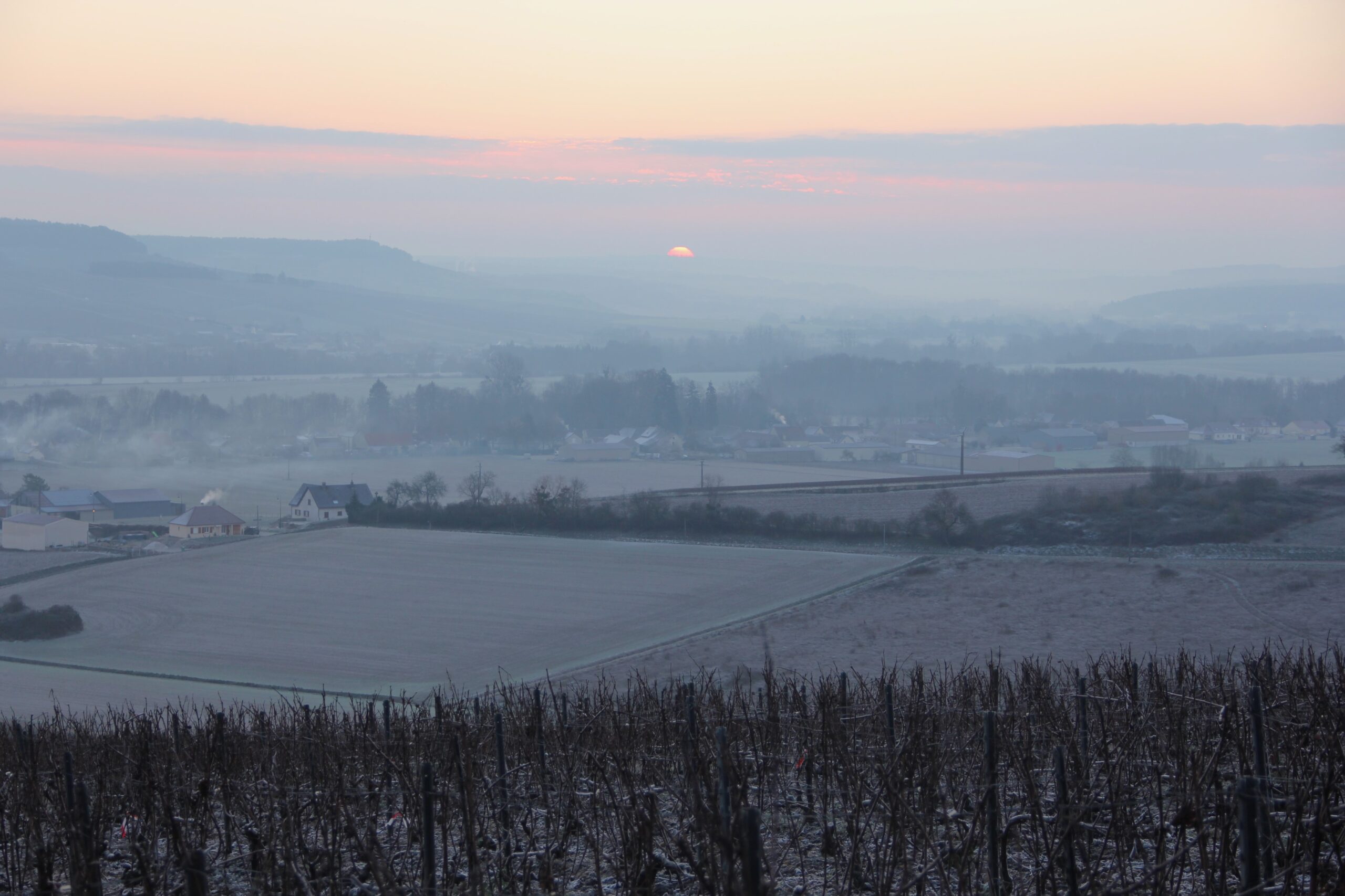 Champagne Piollot winery in Polisot