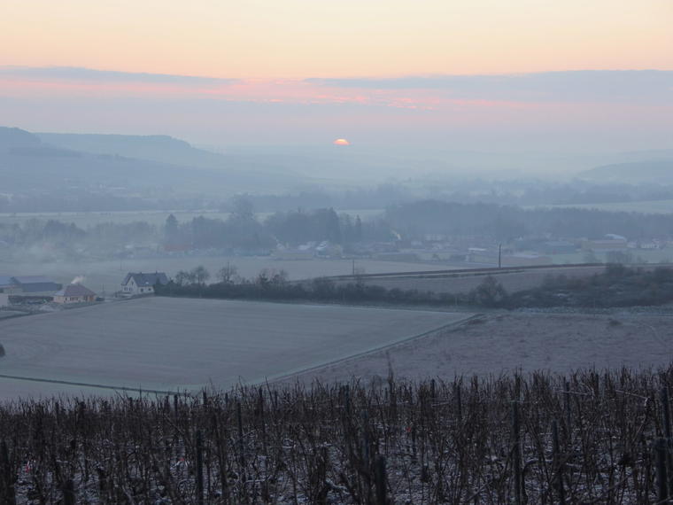 Champagne Piollot, Polisot, France