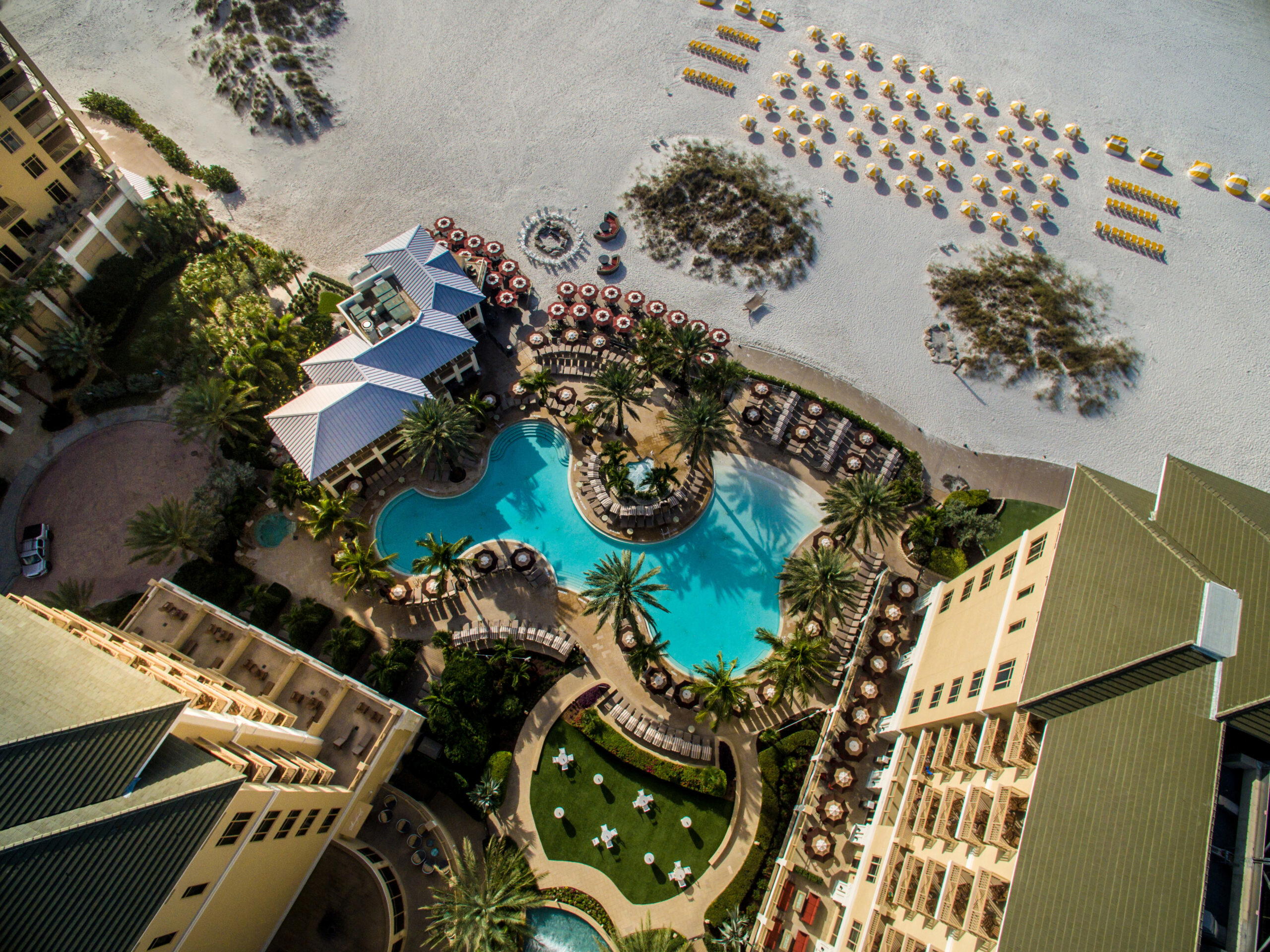 Caretta on the Gulf, Clearwater Beach, United States
