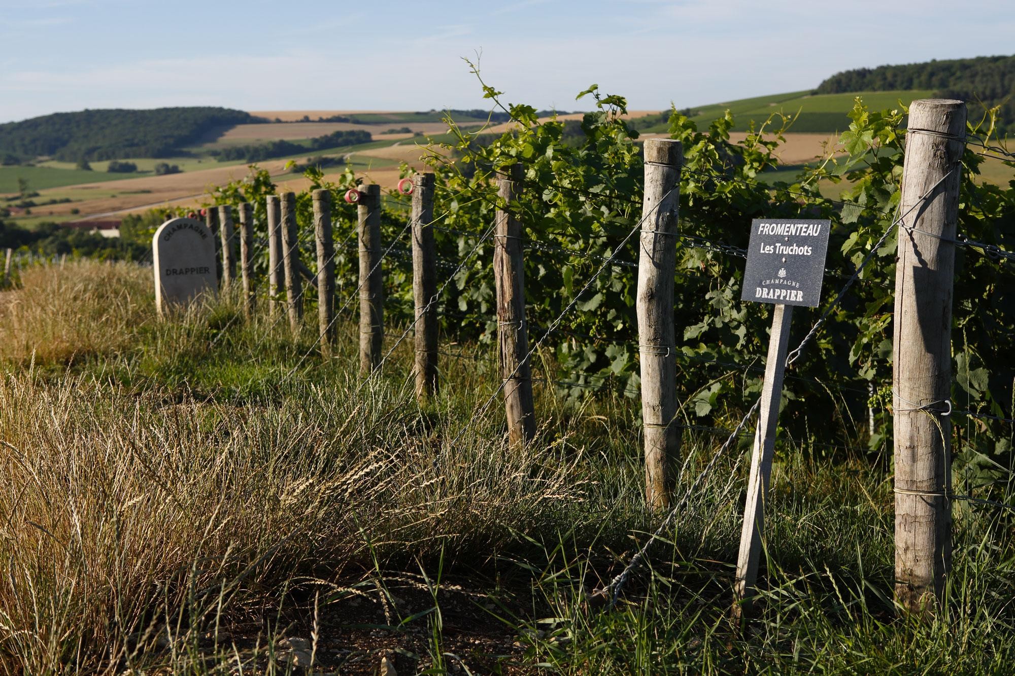 Drappier, Urville, France