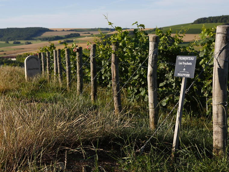 Drappier, Urville, France