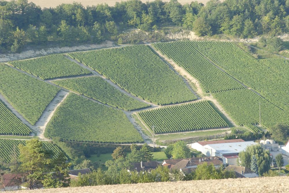 Drappier, Urville, France