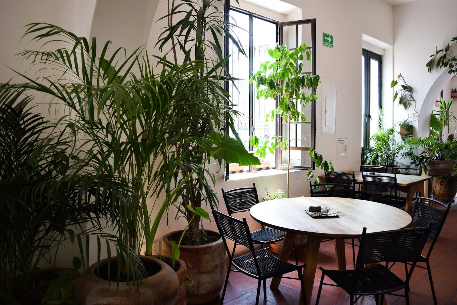 Casa Colimita, Guadalajara, Mexico