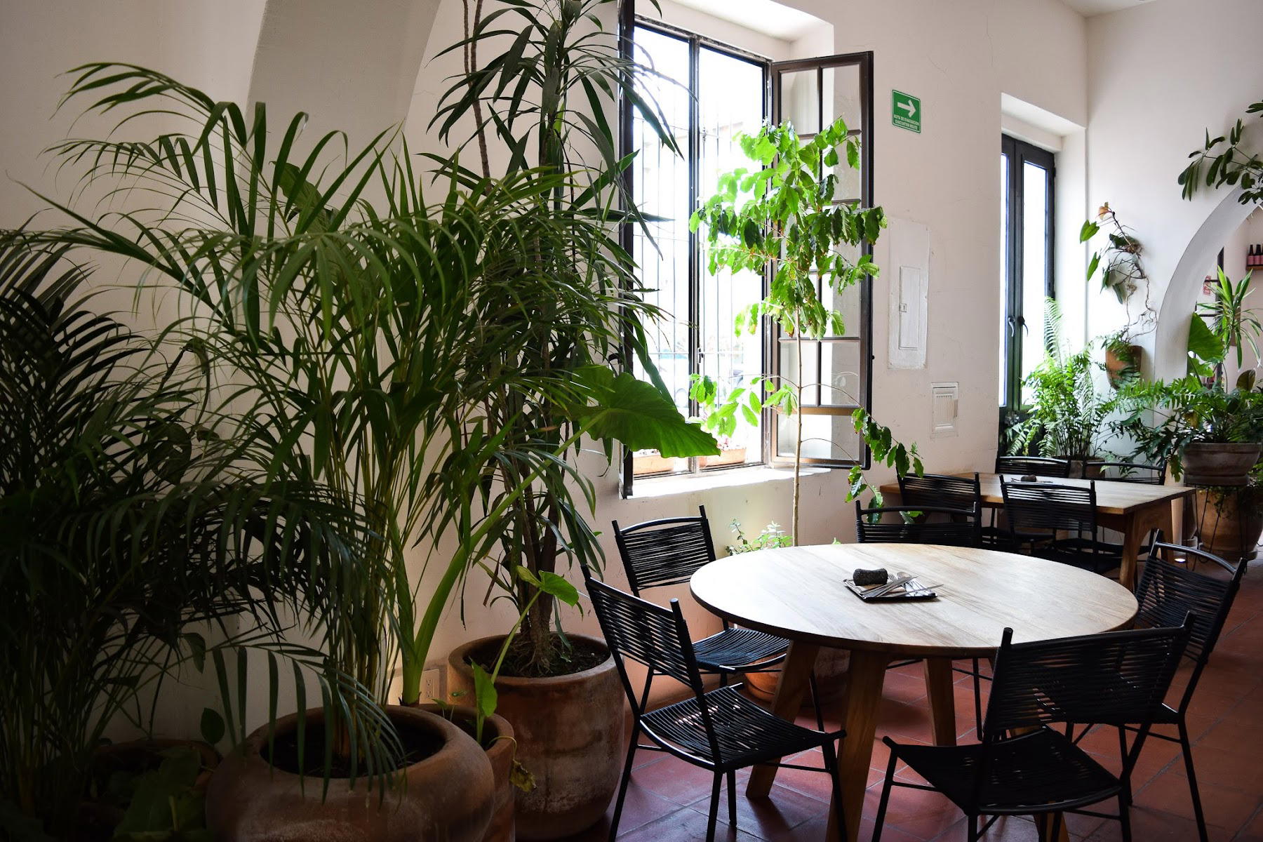 Casa Colimita bar in Guadalajara