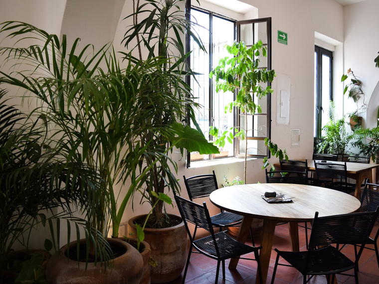 Casa Colimita, Guadalajara, Mexico