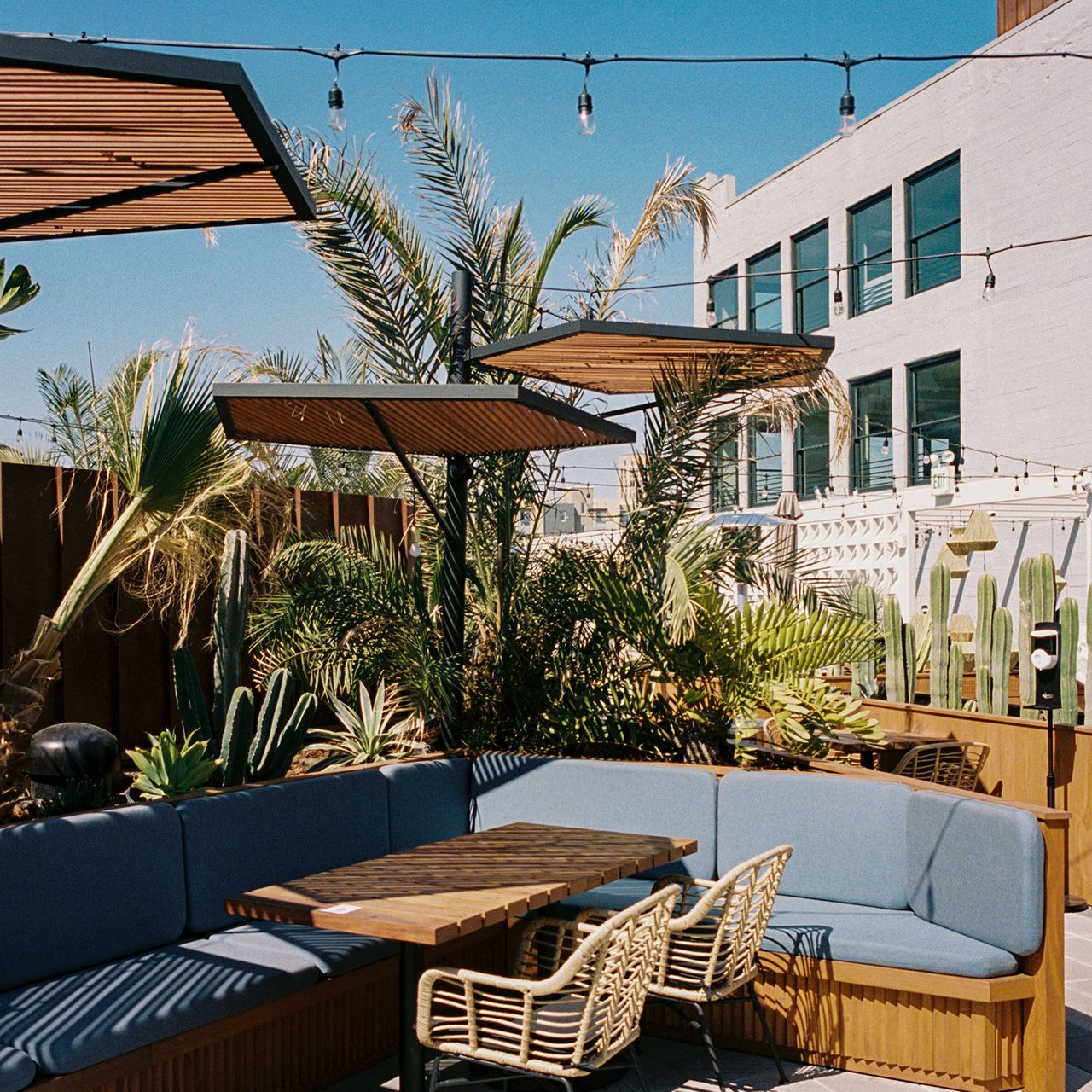 LA Cha Cha Cha restaurant in Los Angeles, United States