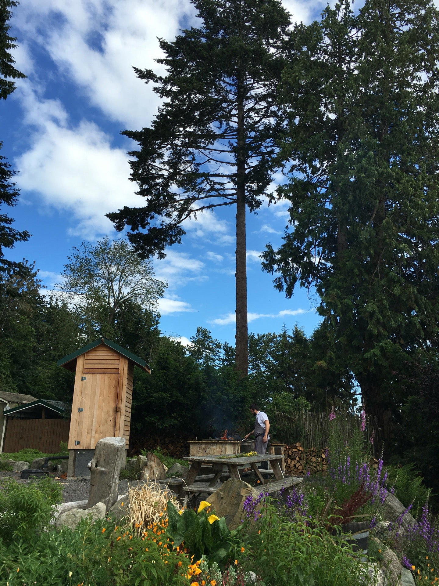 The Willows Inn hotel in Lummi Island, United States