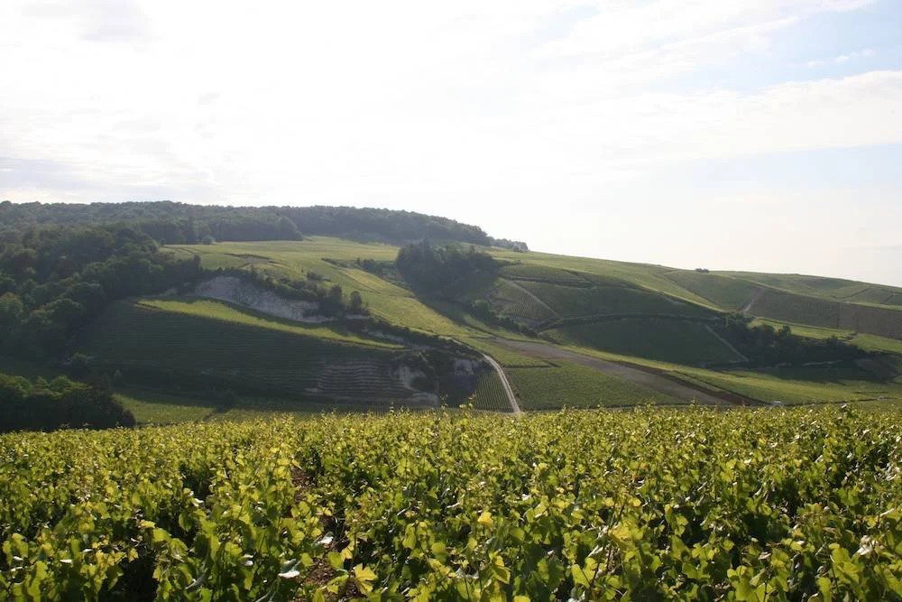 Champagne Geoffroy, Aÿ, France