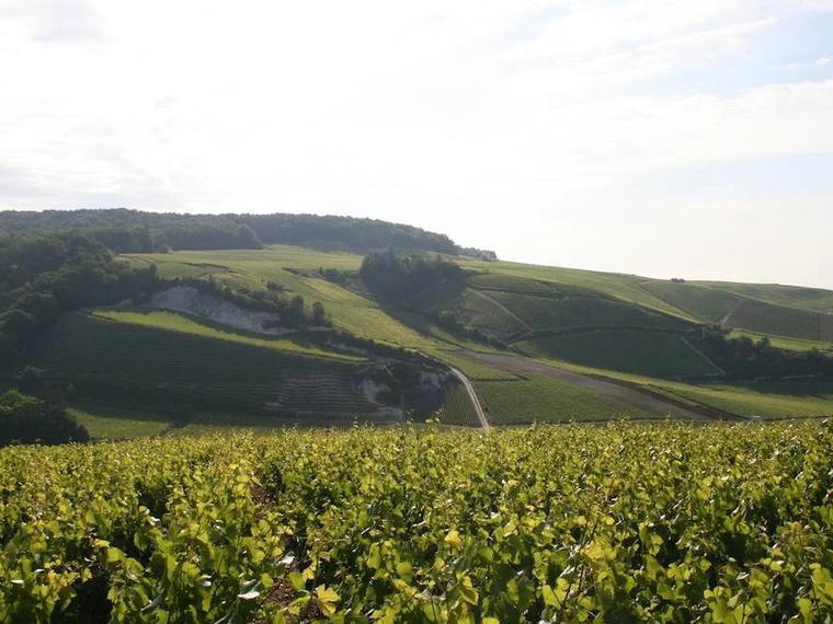 Champagne Geoffroy, Aÿ, France