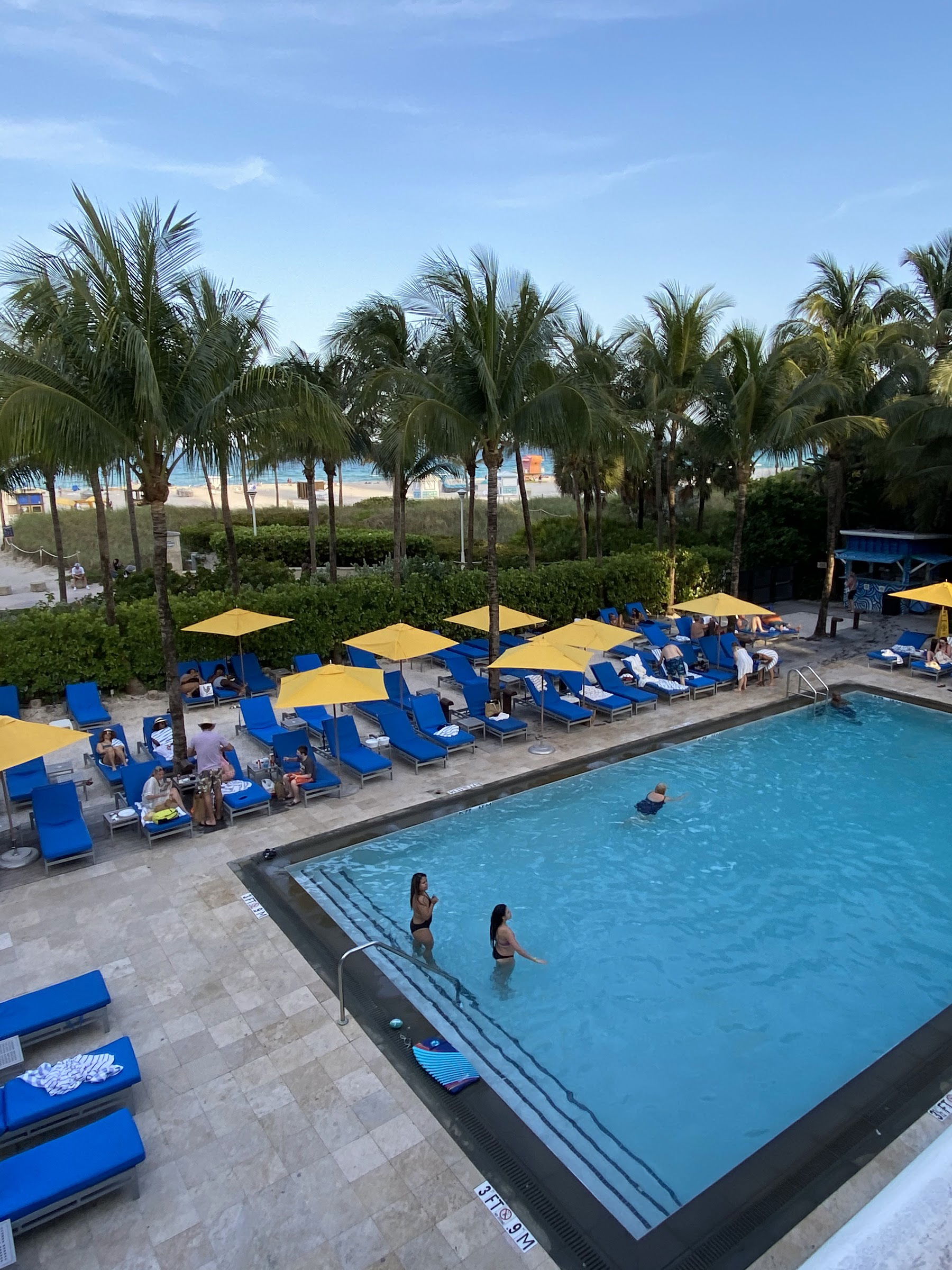 Royal Palm South Beach, Hotel in Miami Beach